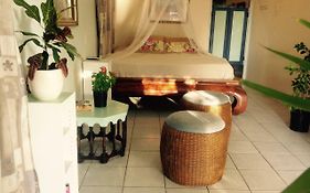 Magical Garden Vacation Rental Savaneta  Aruba